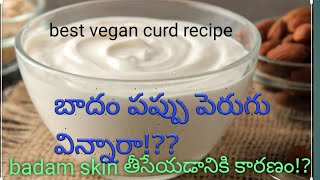 బాదం పప్పు తో పెరుగు|almond curd (vegan) recipe in Telugu