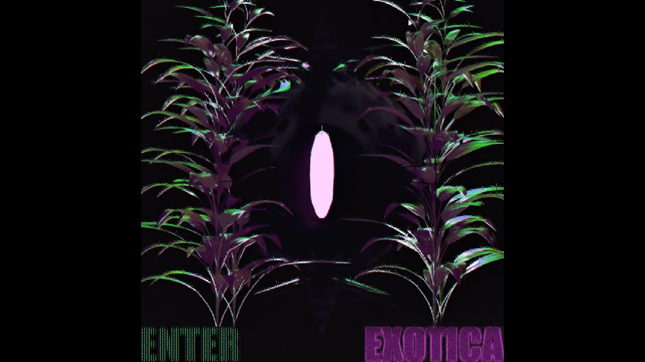 Watch ENTER EXOTICA (Visualized) on YouTube Watch ENTER EXOTICA (Visualized) on YouTube