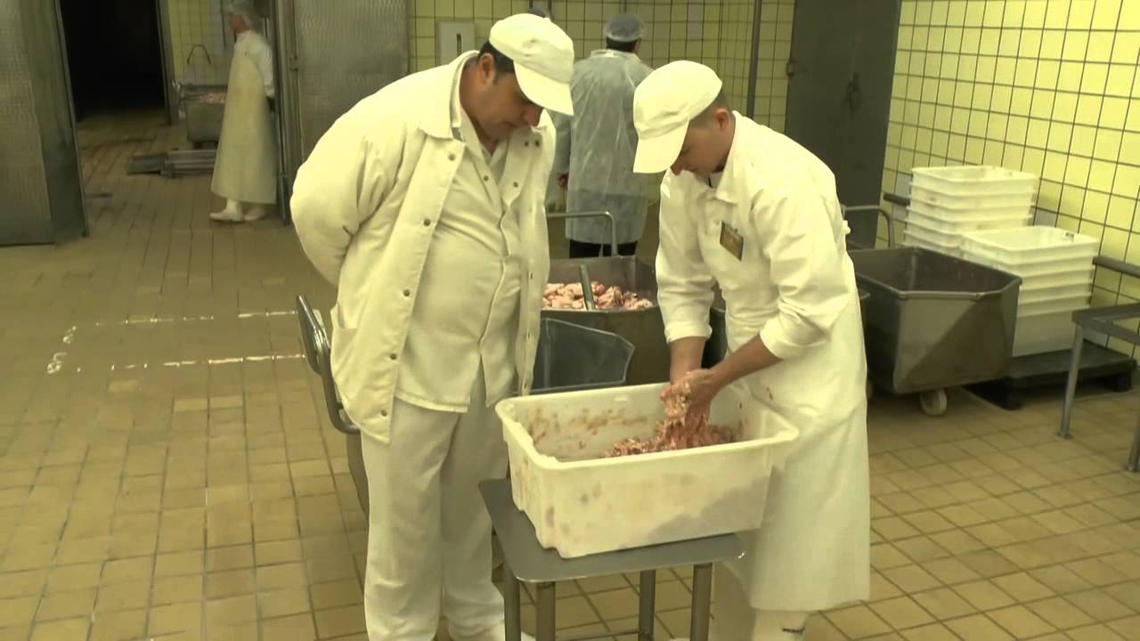 22 végzős hentesjelölt kezdte meg az országos SzKTV döntőjének gyakorlati kihívását Gyulán