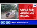 പാലക്കാട് തെരുവ് നായ കുറുകെ ചാടി ബൈക്ക് അപകടം; ബാങ്ക് ജീവനക്കാരന് പരുക്ക് | Stray Dog Attack