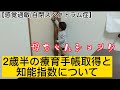 2歳7ヶ月療育手帳取得について、、まさかこんな展開になると思わなかったんだ、、【2歳児/自閉スペクトラム症/ショック】