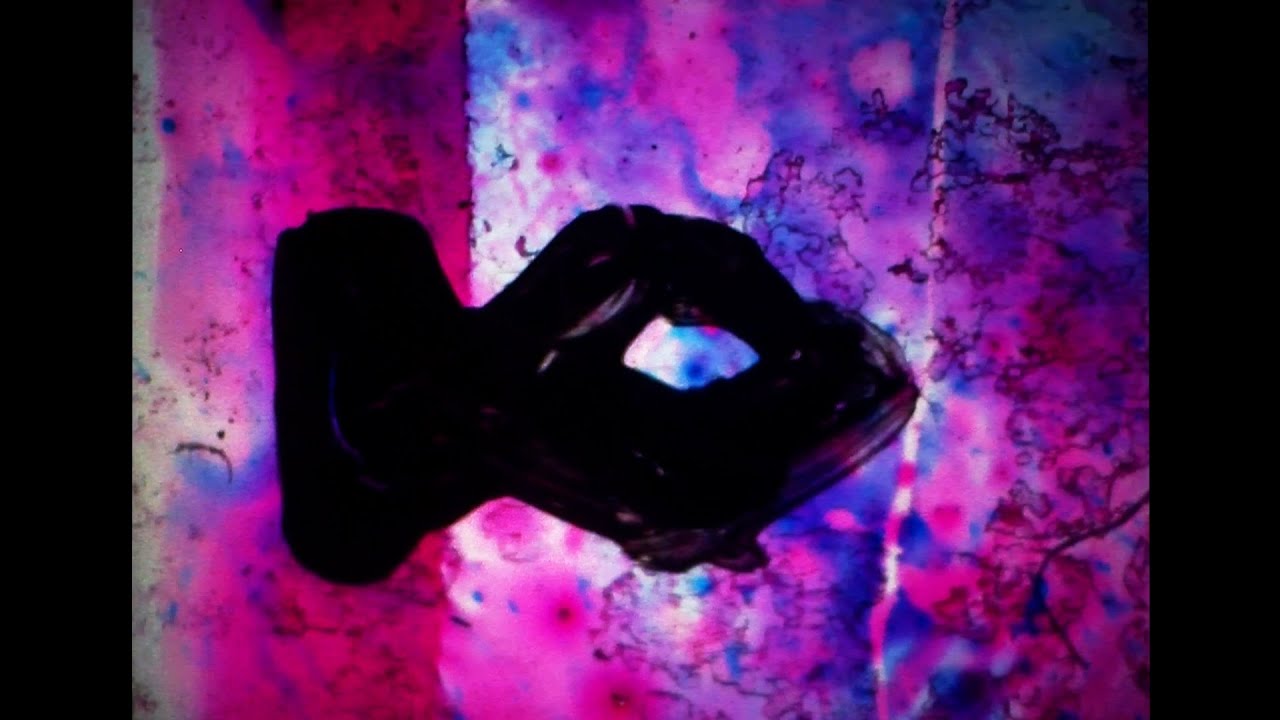 omnifish (handmade short film)