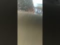 Elijah fall down