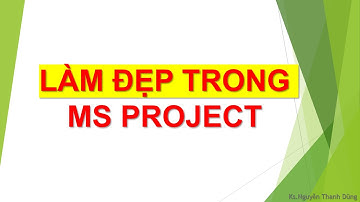 Hướng dẫn làm đẹp MS Project - Format màu sắc, hình dáng, chiều cao thanh bar, chiều cao chữ?
