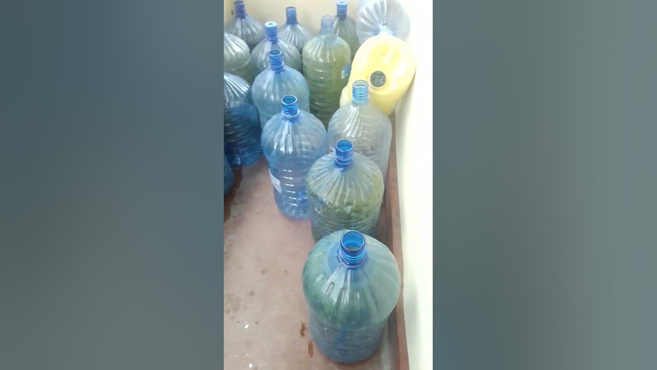Empty bottles waiting for water to be brought,water scarcity YouTube