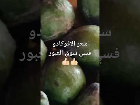 سعر الافوكادو في سوق العبور