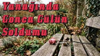 Seni Benim Gibi Seven Oldu Mu Anatolian Rock Laboratory