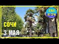 СОЧИ: 3 мая | Субтропический рай в отдельно взятом городе