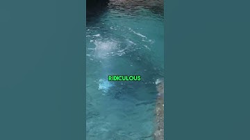 Efficient Aeration System for Large Pools #shorts #poolaeration