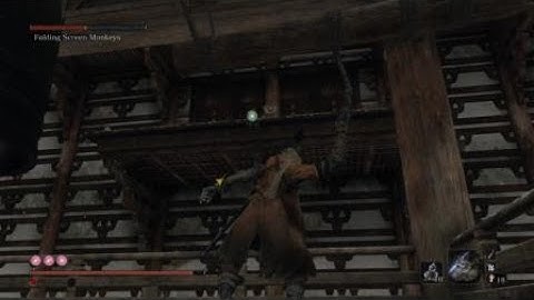 Sekiro Monkey Collision