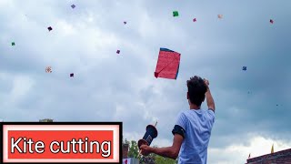 Kite cutting !! Kite fighting !! Kite flying !!