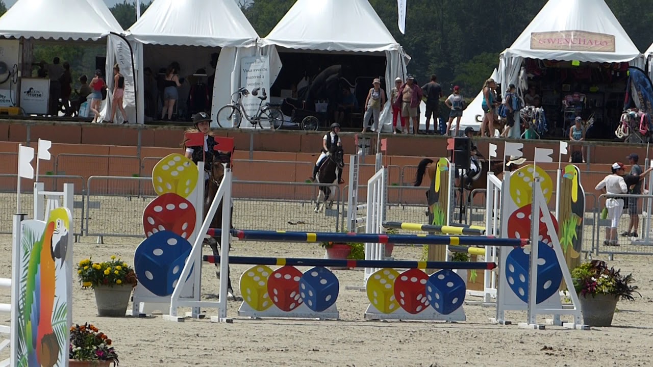 GOF 2018 Alix & Simba P Elite Excellence Junior 2ème T