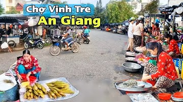 Chợ Vịnh Tre Mùa Nước Nổi 2025 – Cá Đồng Tươi Ngon, Không Khí Mua Bán Tấp Nập