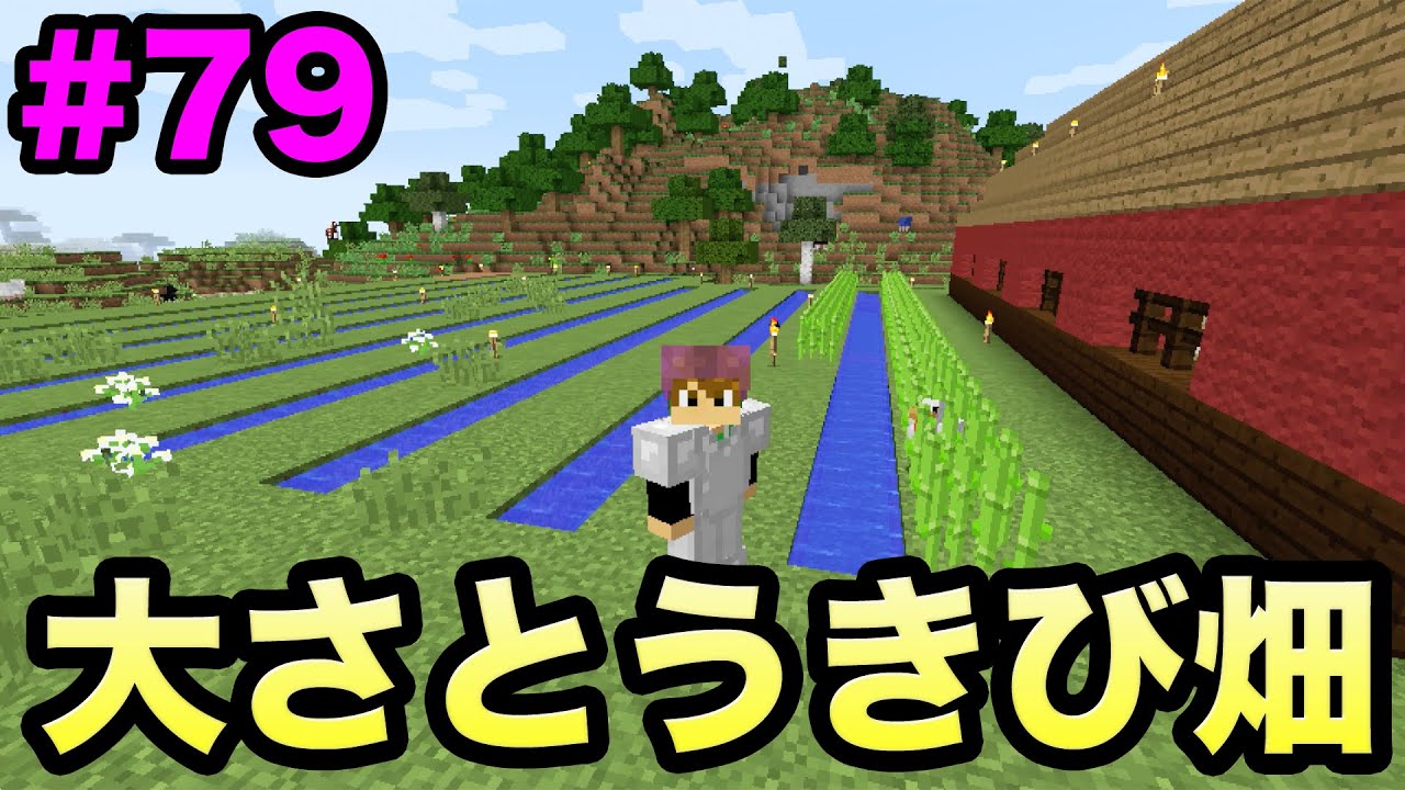 マスオのマインクラフト 大さとうきび畑作ってみた 79 Youtube