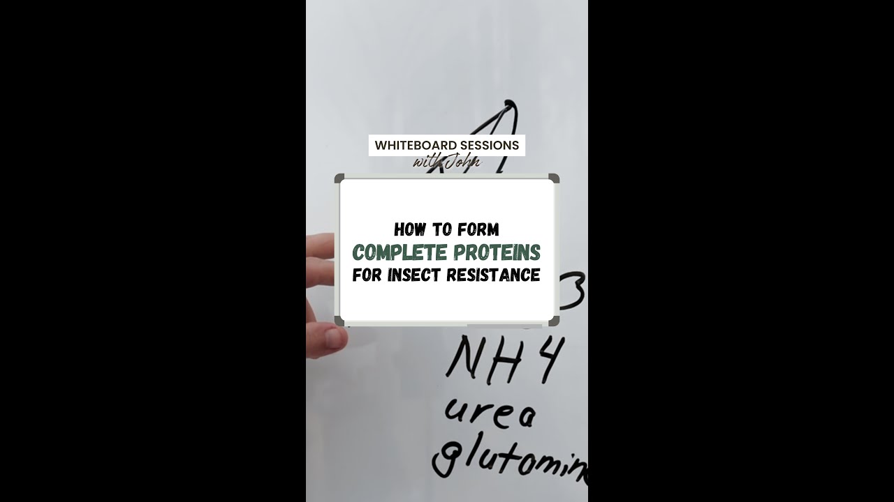 How to Form Complete Proteins for Insect Resistance