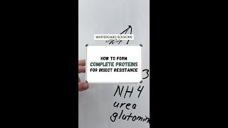 How To Form Complete Proteins For Insect Resistance