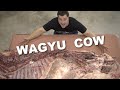 We Cooked Half a Cow for 24 Hours | Mad Scientist BBQ