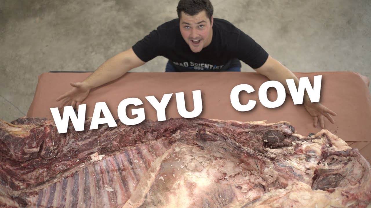 We Cooked Half a Cow for 24 Hours | Mad Scientist BBQ