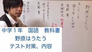 中学 国語 野原はうたう 中学1年 Youtube