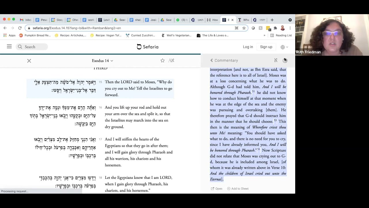 Shabbat HaGadol Dvar Torah with Maharat Ruth - YouTube