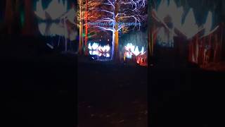 Hamburg: "CHRISTMAS GARDEN" Impressionen # Teil 14 # 30.12.2025