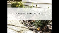 The Thrifted Planter