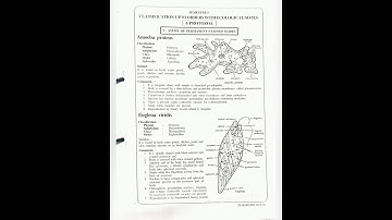✨Zoology practical file for bsc -1 2024 #shorts #trending #bsc #viral🔥