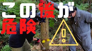 〔山開拓〕#10 伐採失敗！危険な木の切り方を注意喚起として緊急配信！！