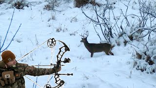 URBAN BOW HUNT Gone WRONG - It Happen TWICE!
