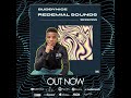 Buddynice - Redemial Sounds Sessions (Mix 1)