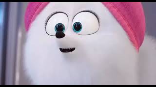 Gidget