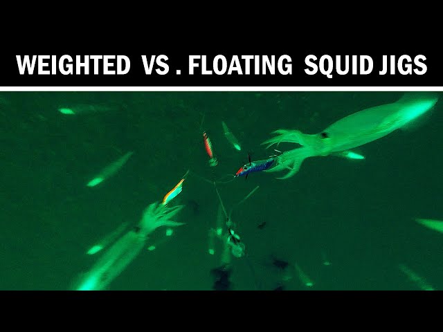 How Squid React To Weighted vs Floating Jigs (Underwater Squid Fishing) 