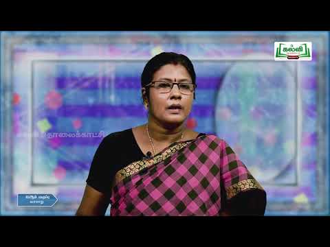 Class12|வகுப்பு12|தடையும் விடையும்|வரலாறு|தீவிரதேசியவாதத்தின் எழுச்சியும், சுதேசி...|அலகு 2 |KalviTV