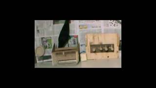 Crows using compound tools