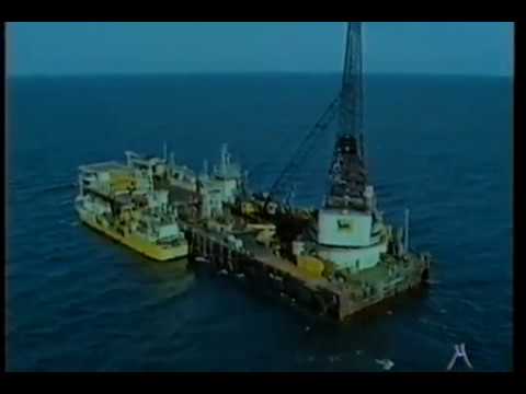 BIOLOGIA Jacques Cousteau ultimatum sotto il mare