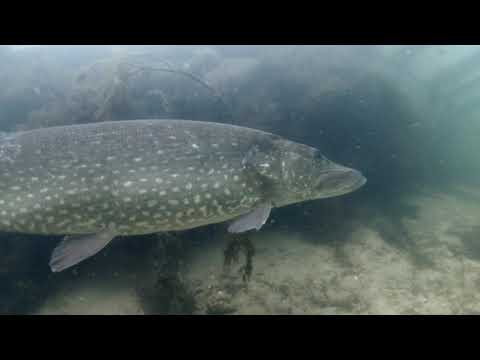 Veenmeer Tynaarlo, 28 april 2022