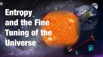 Entropy and the Fine Tuning of the Universe - Feat. Dr. Sean Carroll