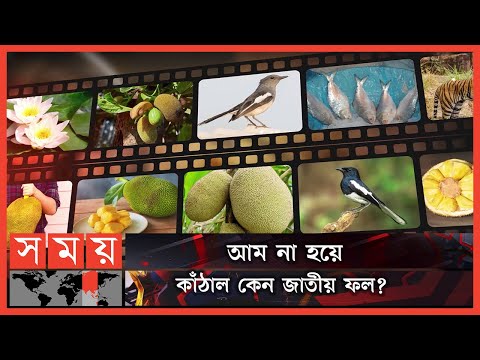 ভিডিও: ফুলের পাত্র কে আবিস্কার করেন?