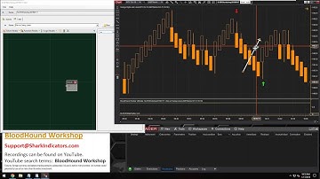Detect Renko Bars That Reverse on Swing Points - BloodHound Workshop