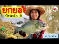 ยกยอ ปลาสลาก ►Fishing lifestyle Ep.591