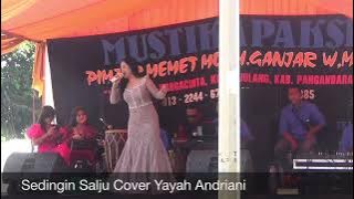 Sedingin Salju Cover Yayah Andriani ( LIVE SHOW PAMAYANGSARI TASIKMALAYA)