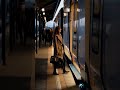 Train Departure #Ray #futuretechch #havefunwithaich #sinkseedingmethod #sunov55