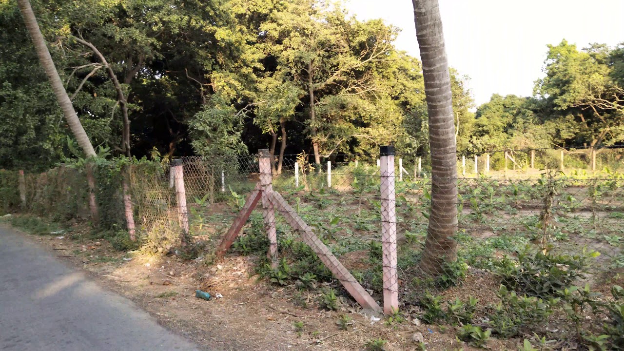 Farm House View 1 4K / GJ5 Property / Navsari (Bilimora Gandevi Road