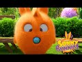 Sunny Bunnies | BALÃO BLUES | Desenhos animados | WildBrain em Português