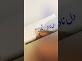 Kalame ghalib ashaar calligraphy with cut marker #top #calligraphy #trending #satisfying #urdu