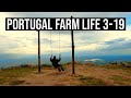 Building a Pool, Hospital Visit, Making Friends | PORTUGAL FARM LIFE S3-E19 ❤