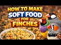 How to Make Soft Food for Finches | Best Finches Breeding Formula & Tips Finches Breeding Farmula