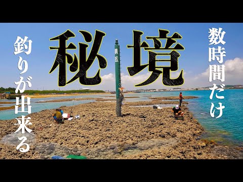 Catch the strongest fish at a hidden spot that only appears for