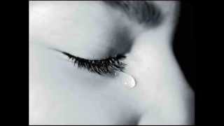 حمادة هلال ديما دموع سمعها