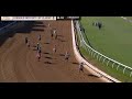 2024 Breeders' Cup Classic autopsy: Sierra Leone capitalizes on hot pace to score a victory